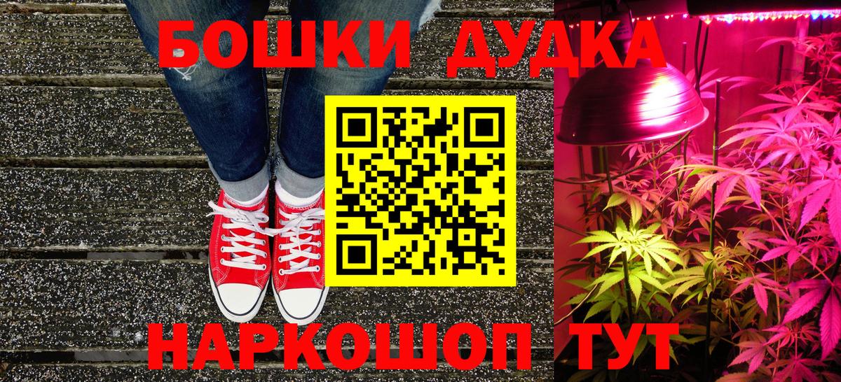Канабис сатива Шали
